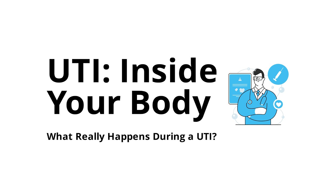 What happens in your body during a UTI?