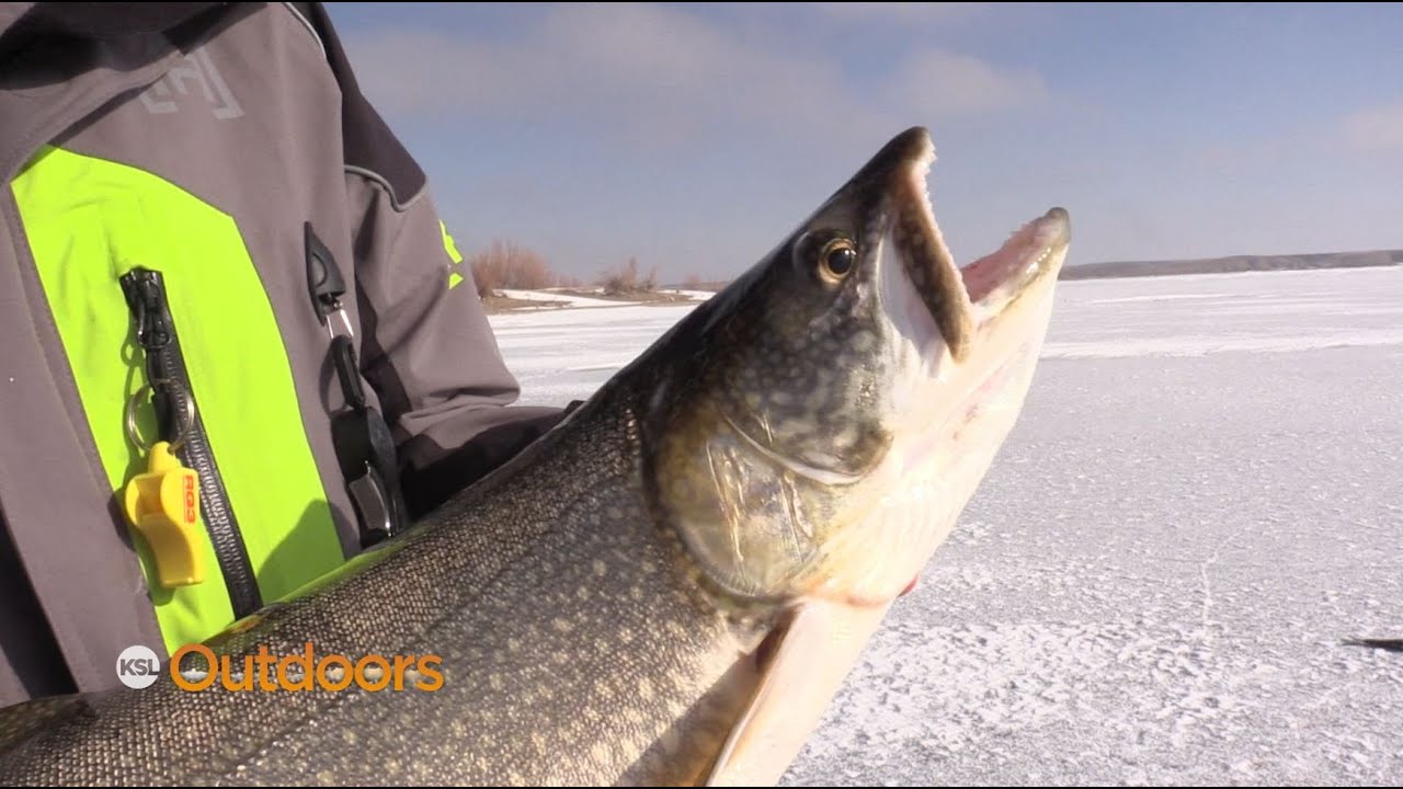 Flaming Gorge Ice Fishing Slam