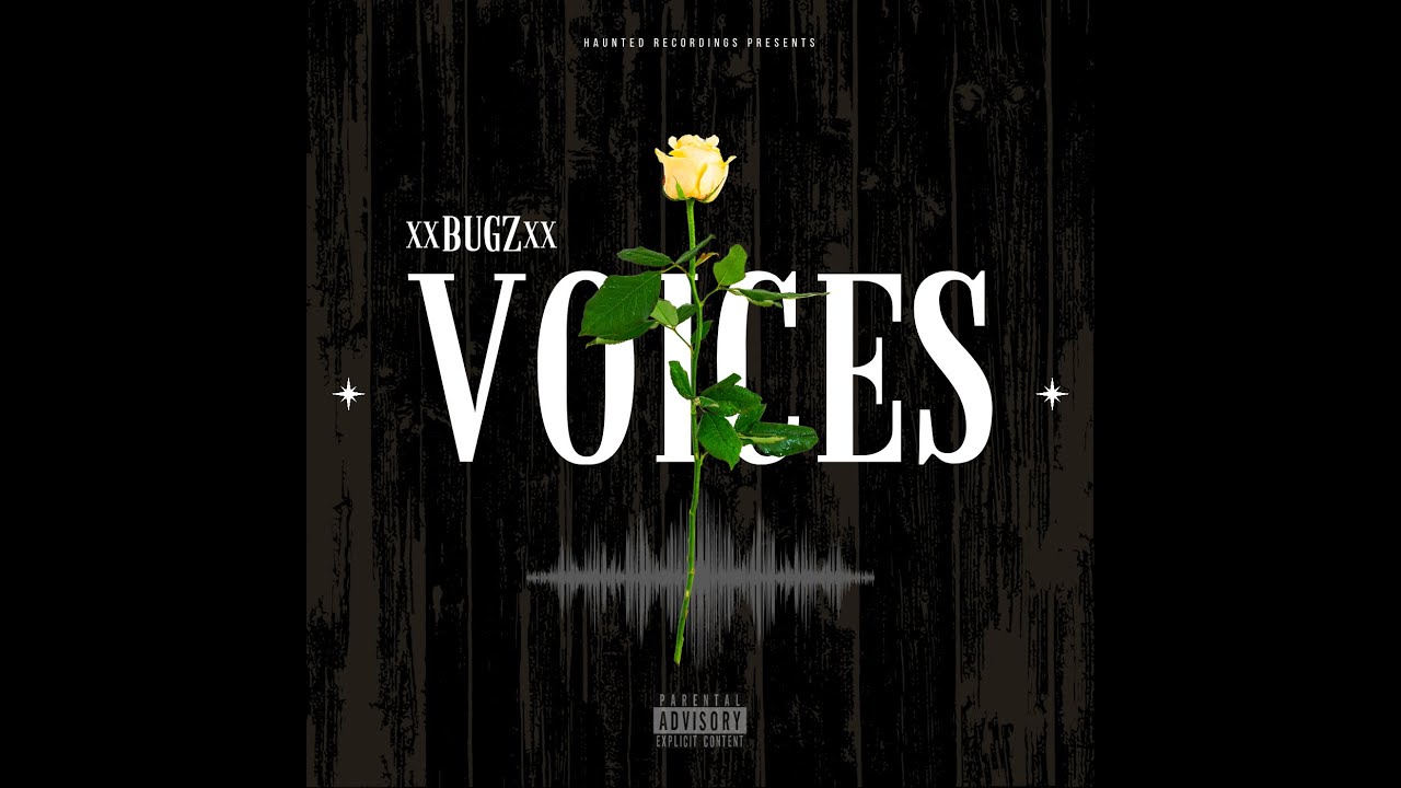 Voices  xxBUGZxx Ft: Haunted Recordings Music studio