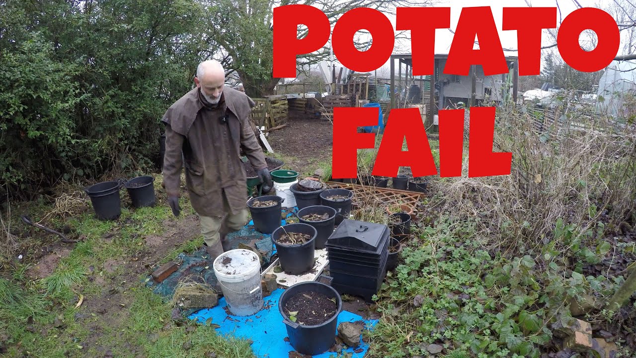 Potato Fail | Organising for the Year Ahead | Allotments For Fun and Food