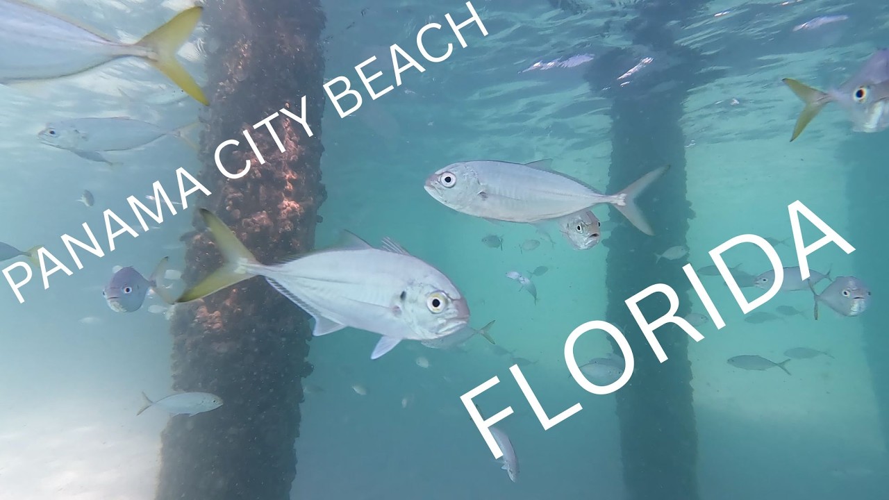 Panama City Underwater Video