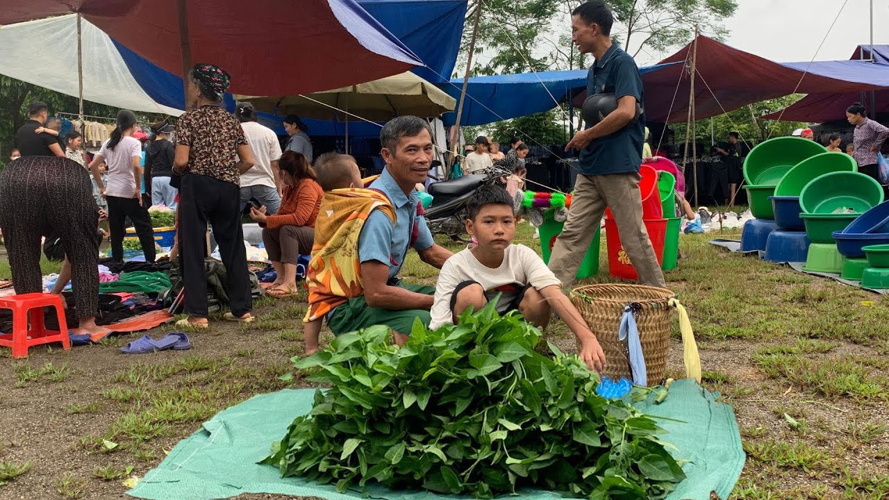 Family Farm - Homeless Boy goes to school, Harvest water spinach to sell at the market