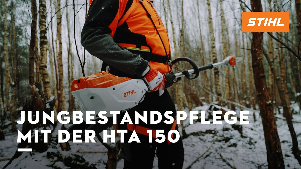 HTA 150: Die Akku-Forstpflegesäge für Jungbestandspflege | STIHL