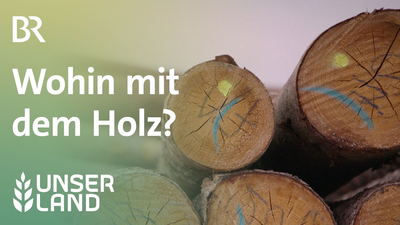 Wohin mit dem Holz? | Unser Land | BR Fernsehen