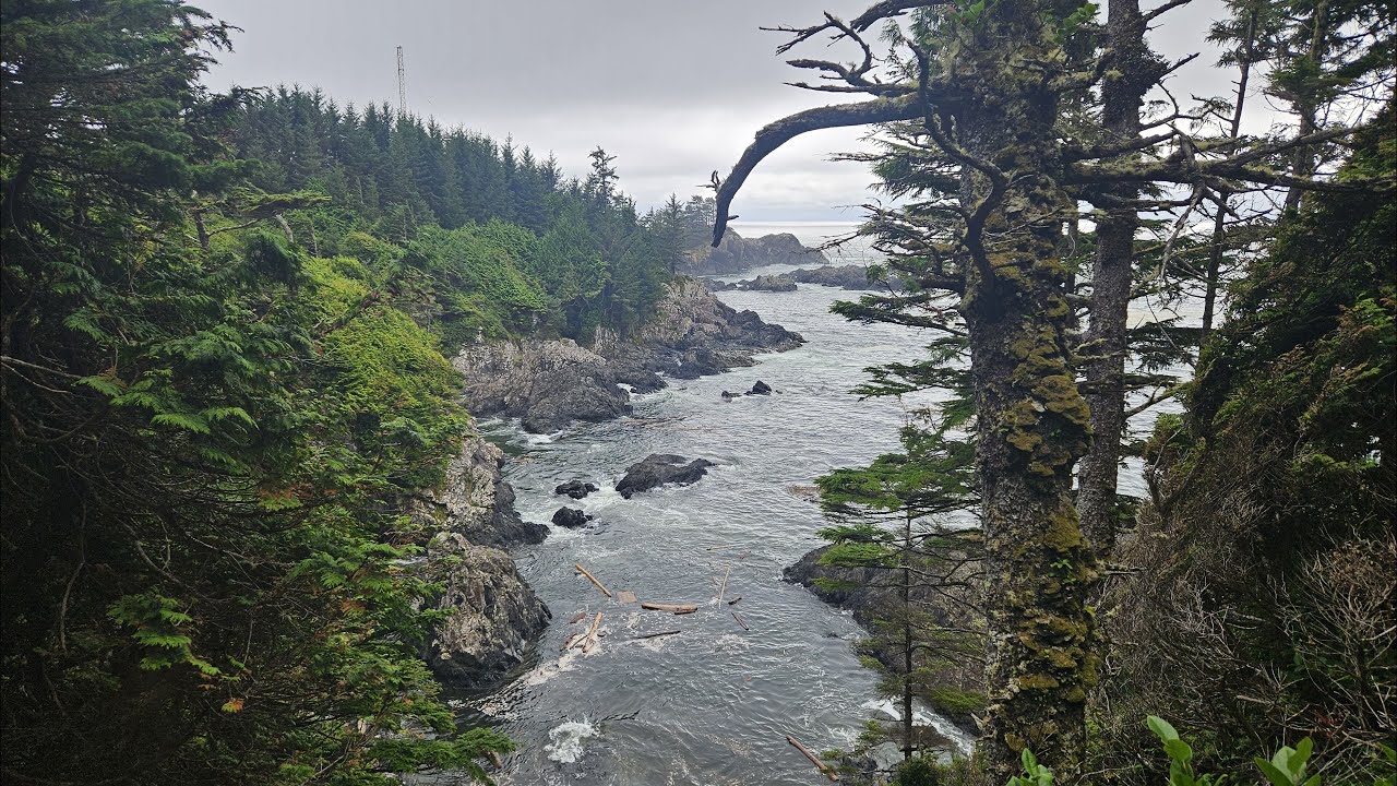 Wild Pacific Trail