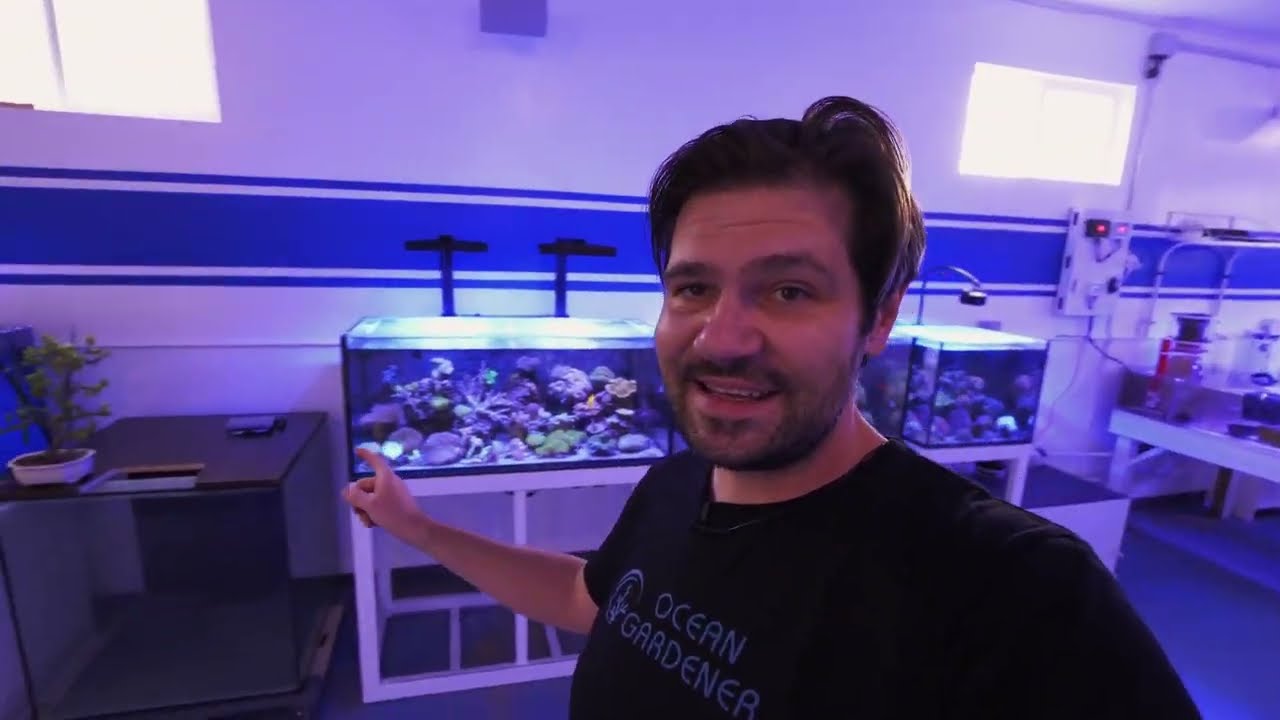 Deltec E Flow Review | Deltec