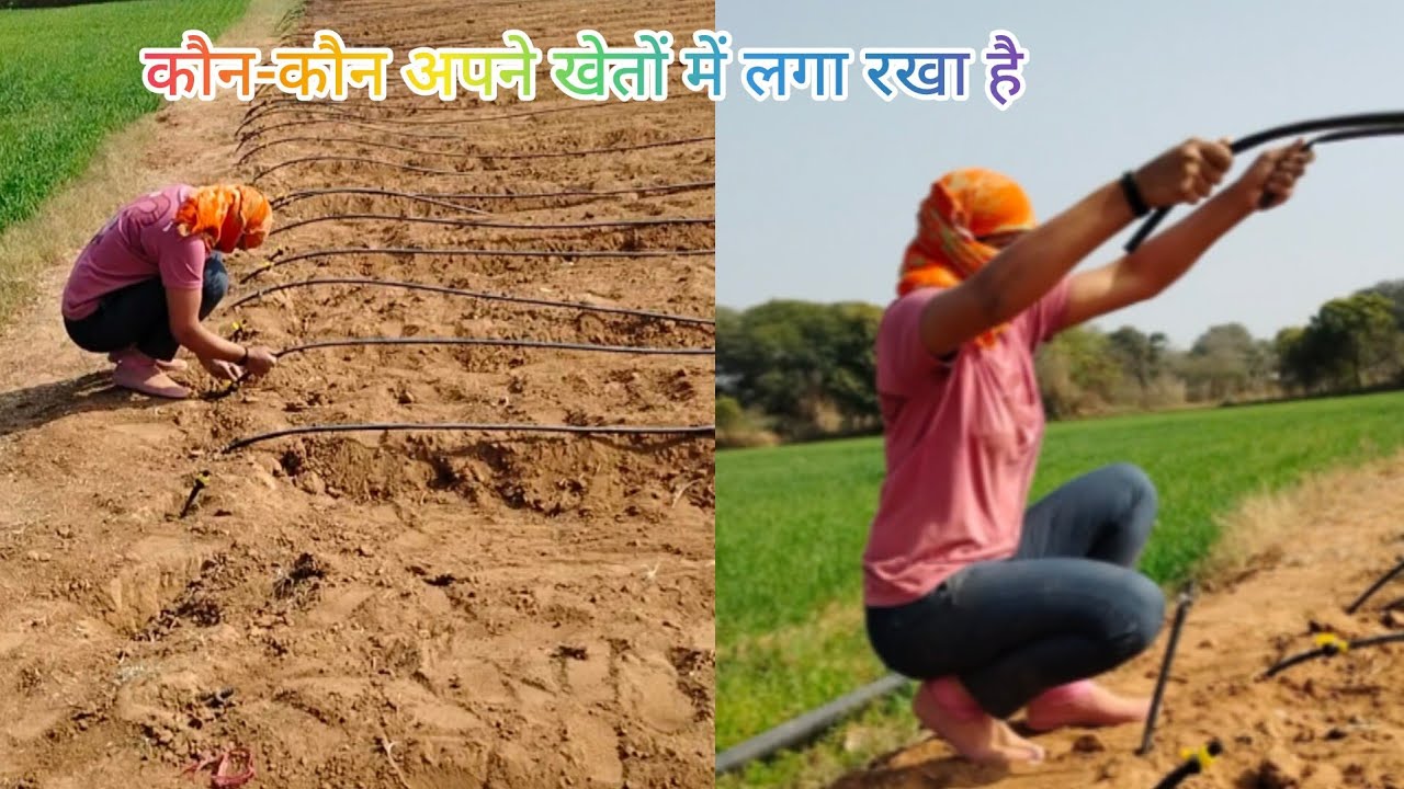 सब्जी उगाने के लिए खेत को तैयार किया#viral #drip#kheti#mirchi #video #vlog 