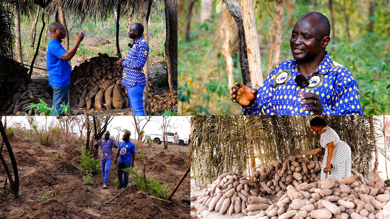 FROM LARGE SCALE YAM FARMING TO DISTRICT CHIEF EXECUTIVE  Kwahu Afram Plains DCE Shares his Story