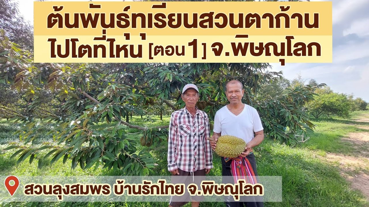 สวนตาก้าน ('65)  ต้นพันธุ์จากสวนตาก้าน...ไปโตที่ไหน ? l ตอน 1 บ้านรักไทย
