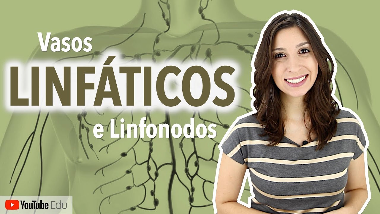 Vasos Linfáticos e Linfonodos: Sistema Linfático 3/4 | Anatomia e etc