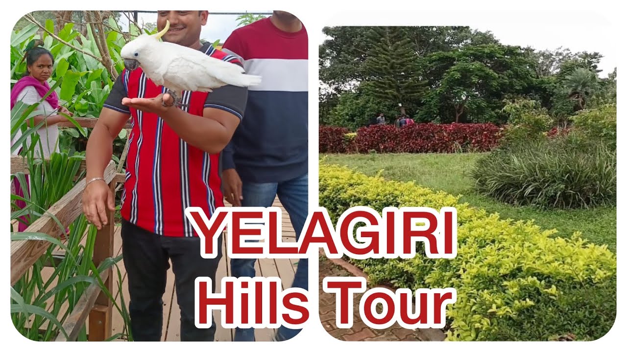 Yelagiri Hills Tour/ Travel vlog