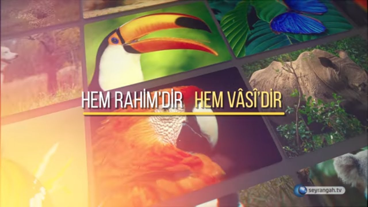 Allah'ın İsimleri - 46: El- Vâsî