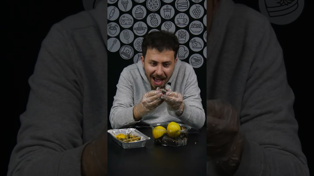 میدیا و هامسی
