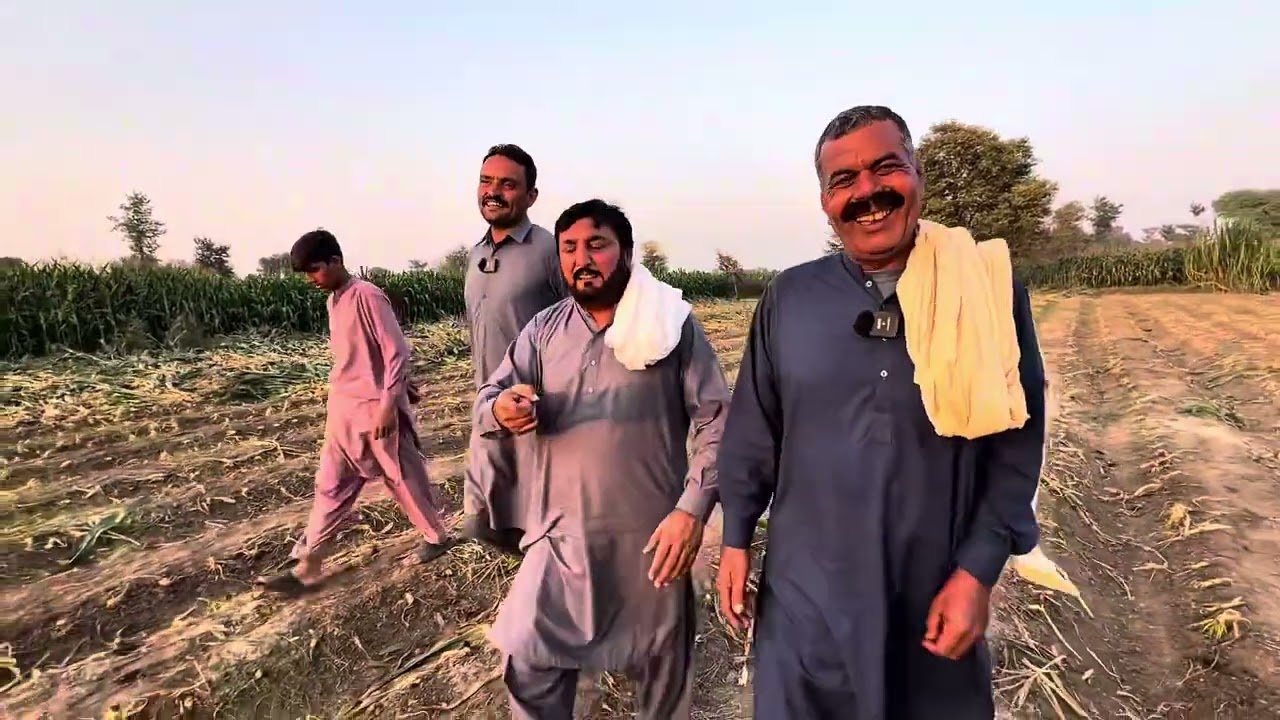 Maki da silage bn rya | Dangar raj k khaan | Detailed information | Anjum Saroya 