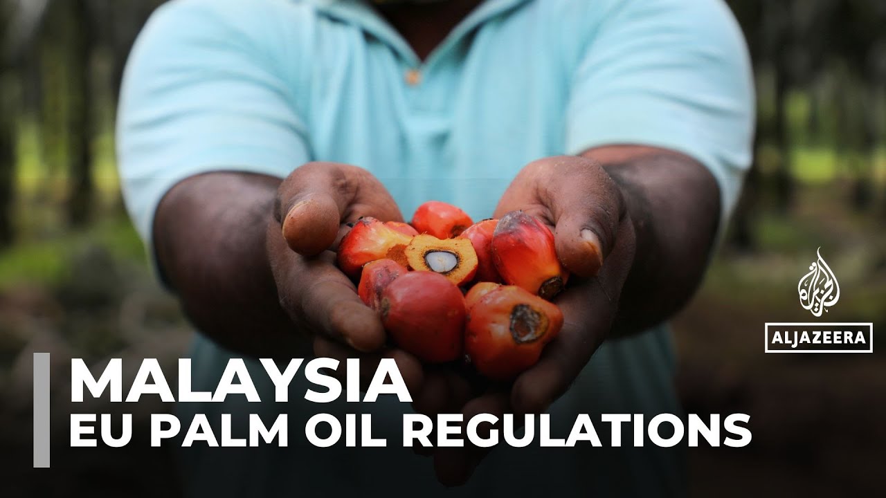 Malaysia urges EU to revise palm oil regulations, citing its sustainability efforts
