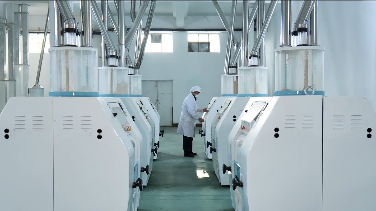 Complete set wheat flour milling production line