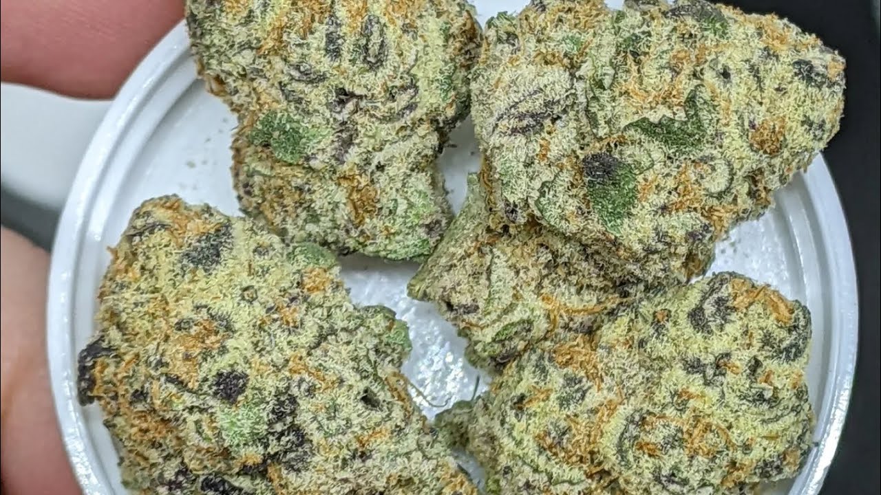 😳⛽🔥Preston Hemp Co. 🖋️ Permanent Marker & Perfect Pair strains 🔥⛽😳