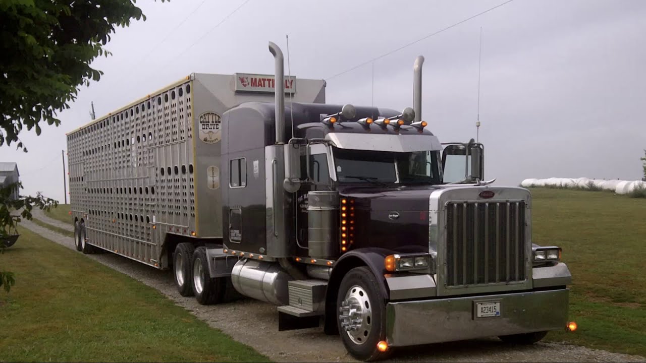 Bullhauler T.C.J.