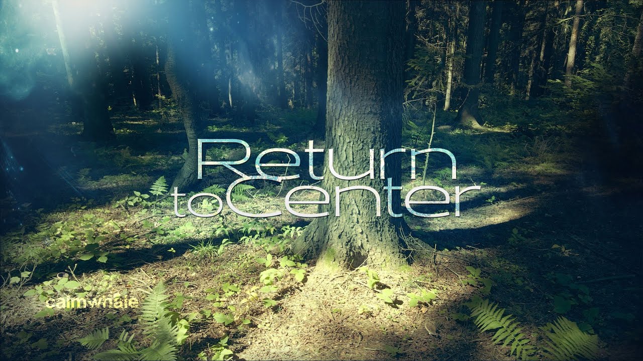 Return to Center :: Your Magical Place: Healing Forest :: Slow Shaman Drum :: Earth Sounds 🌲