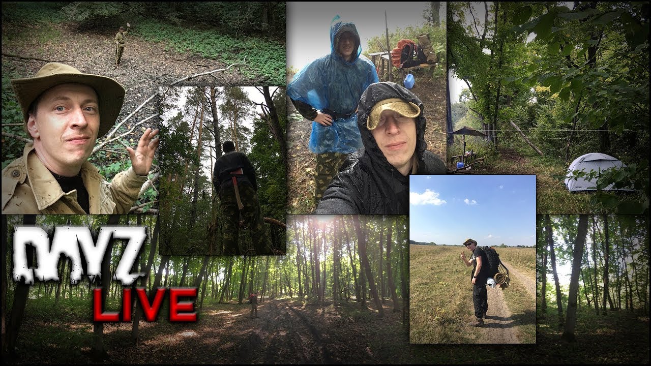 DayZ Live Autumn