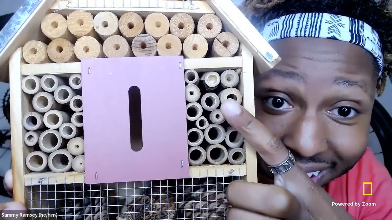 Explorer Classroom | The Buzz about Bees with Sammy Ramsey