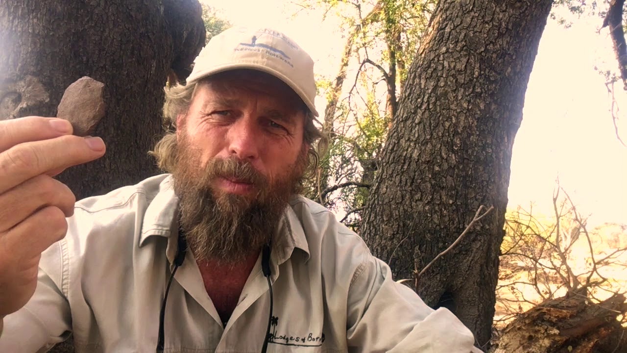 What we can learn from nature with Alan McSmith