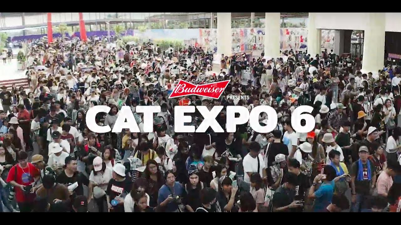 Budweiser Presents Cat Expo 6