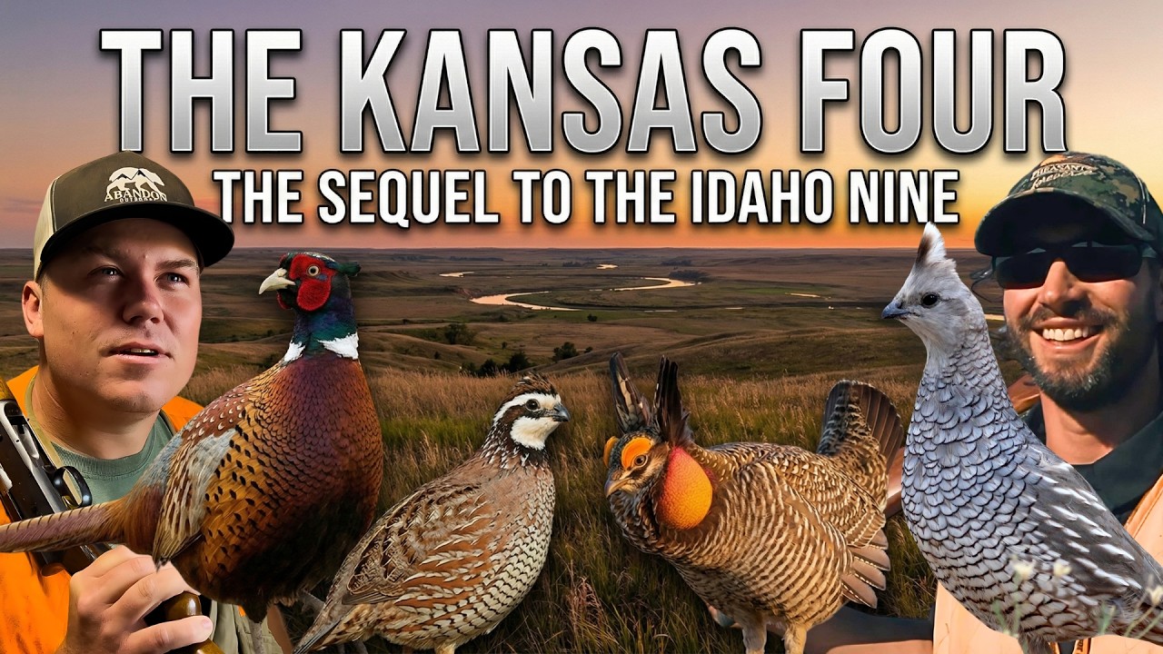 The Kansas Upland Slam: 4 Species in 4 Days