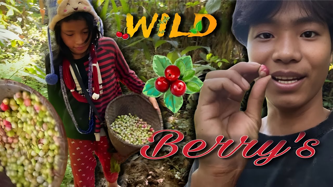 popular wild berries of my village locally known (hinchik) #arunachalpradesh