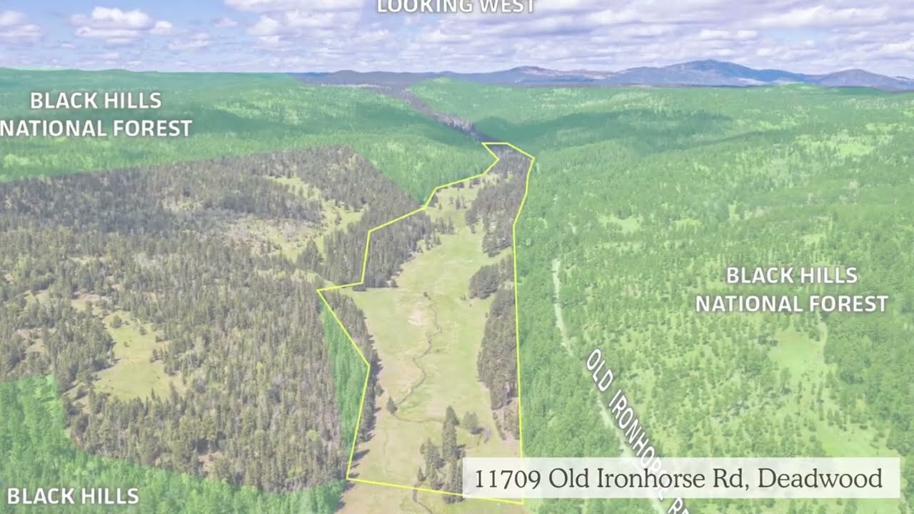 🏞️ 68+ Acre Black Hills Paradise &ndash; Surrounded by National Forest! | Land for Sale