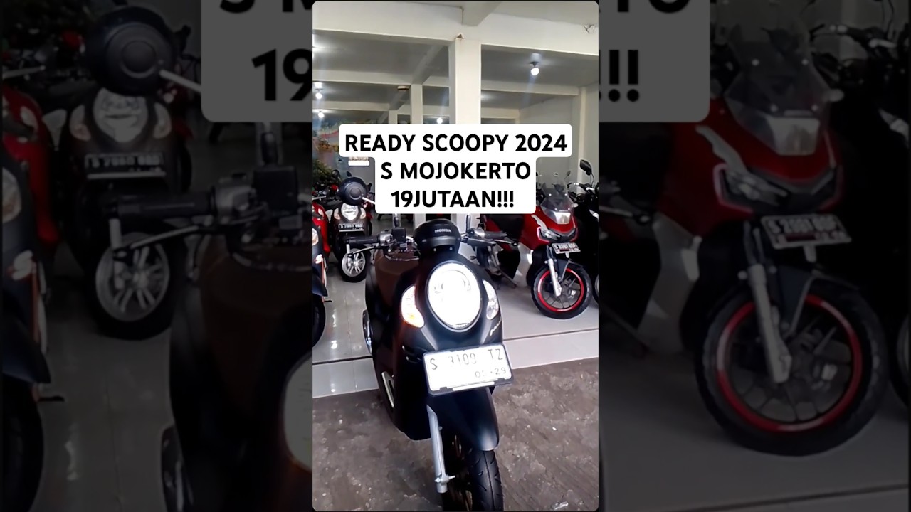Ready rek bekas rasa baru Scoopy th 2024 S Mojokerto🥰 harga 19JUTAAN!!