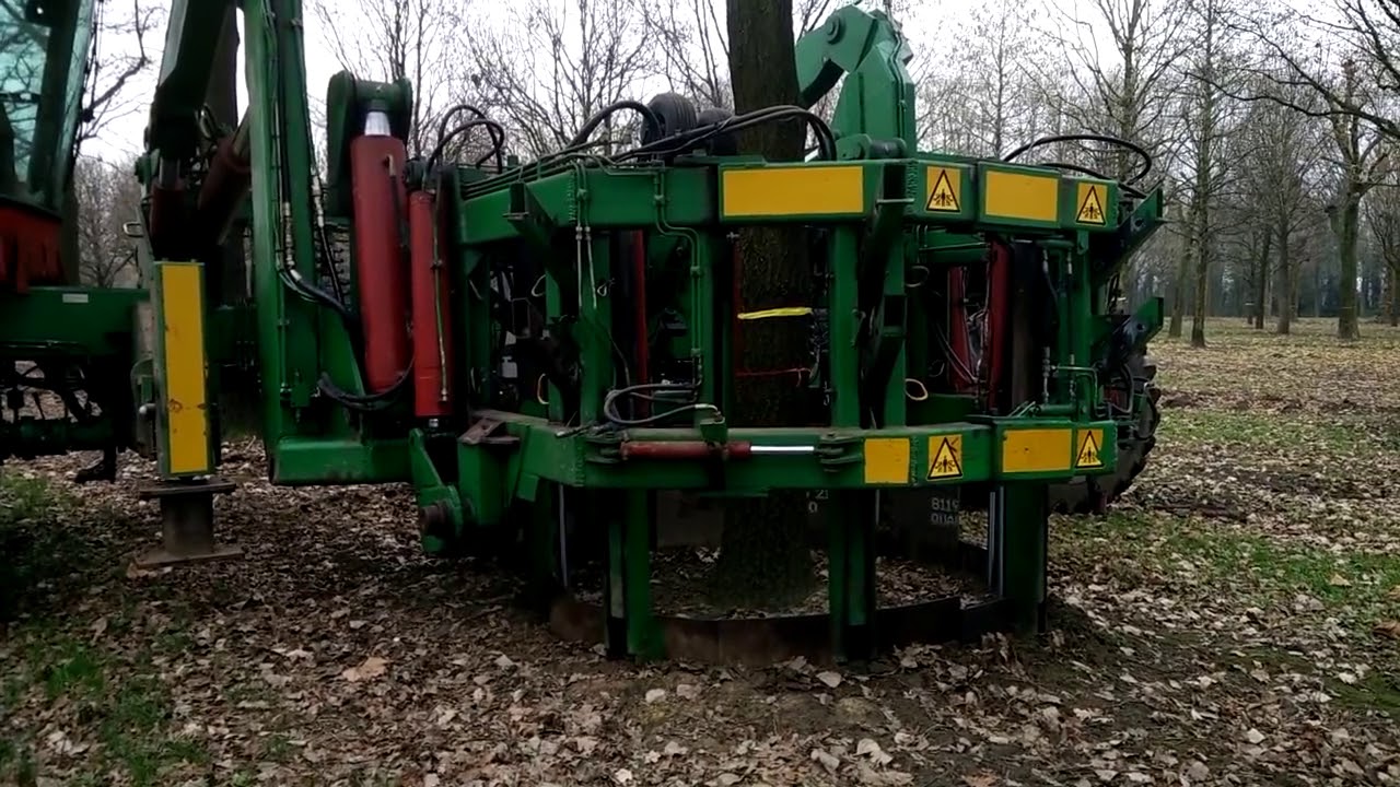 Bomen rooien met mammoet rooimachine