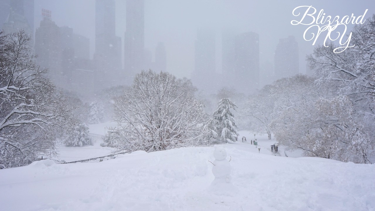 Blizzard 