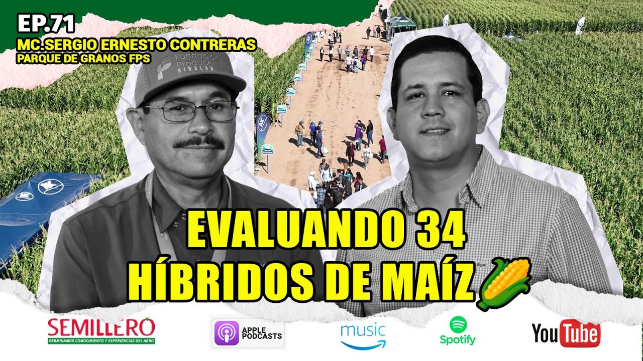 EP. 71 Evaluando 34 híbridos de maíz | MC. Sergio Ernesto Contreras