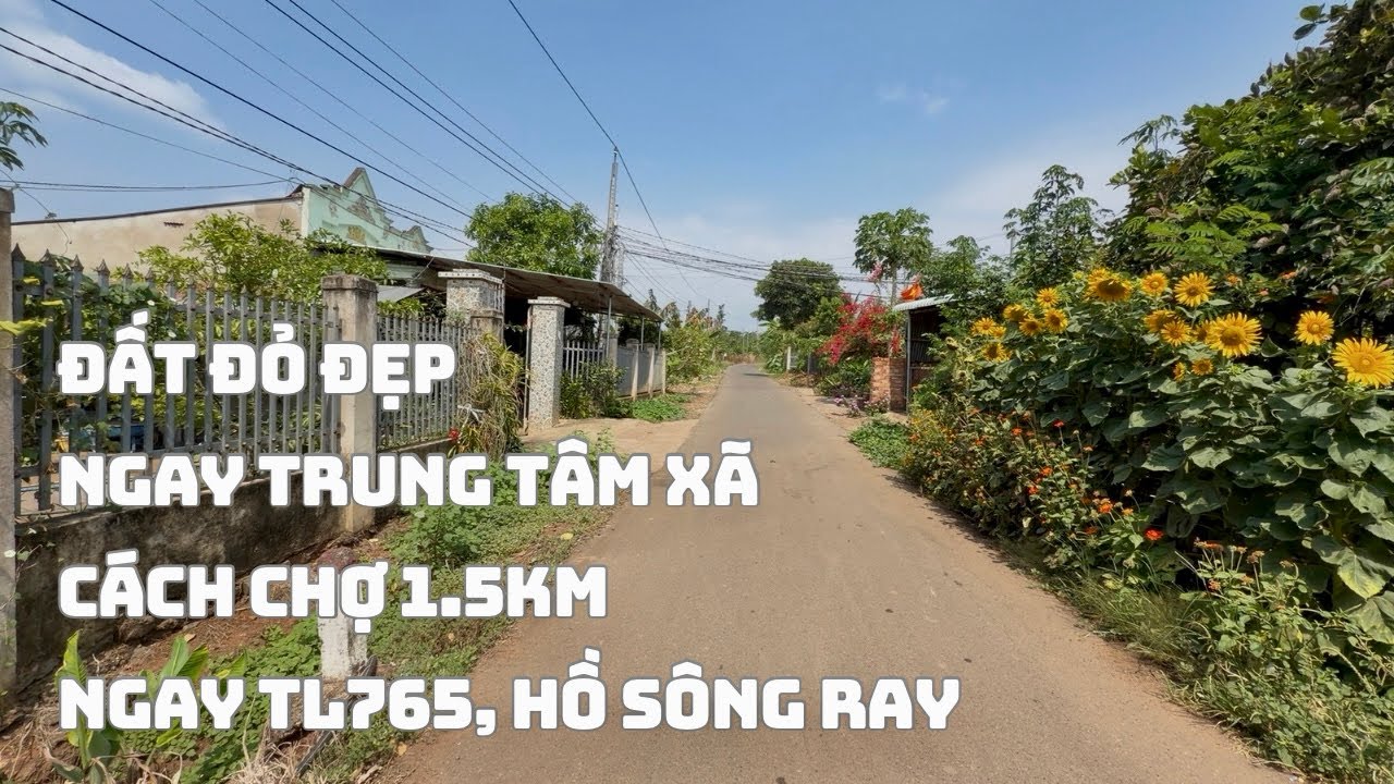 ☘️Đất Màu Mỡ 2.493M2 Chỉ 722TRIỆU 1Sào Sổ Riêng Ngay Trung Tâm Chợ ,Trường Học,Trạm,Đầy Đủ Tiện Nghi