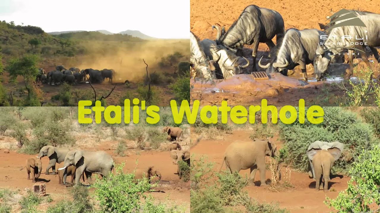 Etali Safari Lodge in Madikwe