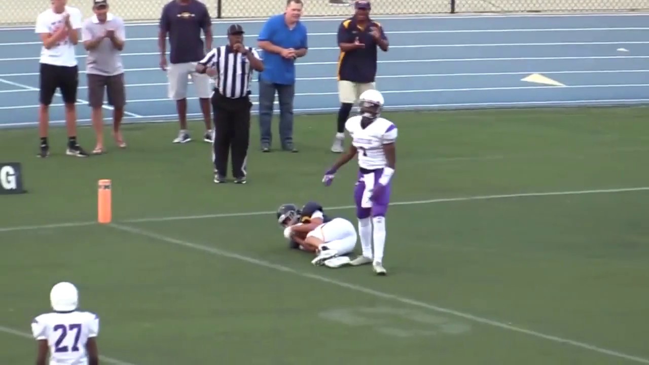 Kyle Hamilton Highlights - Safety - Marist