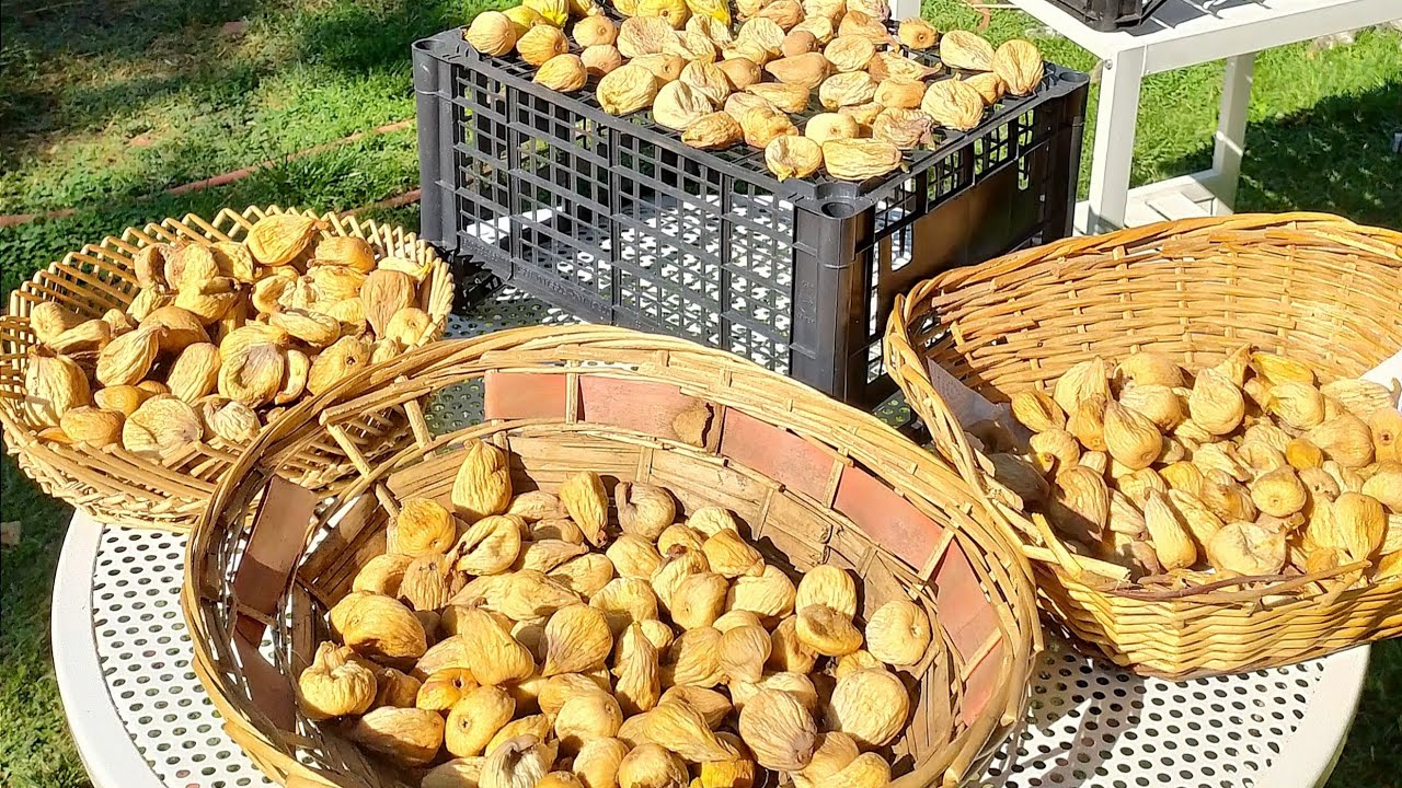 Come fare i fichi secchi interi con la ricetta calabrese della nonna