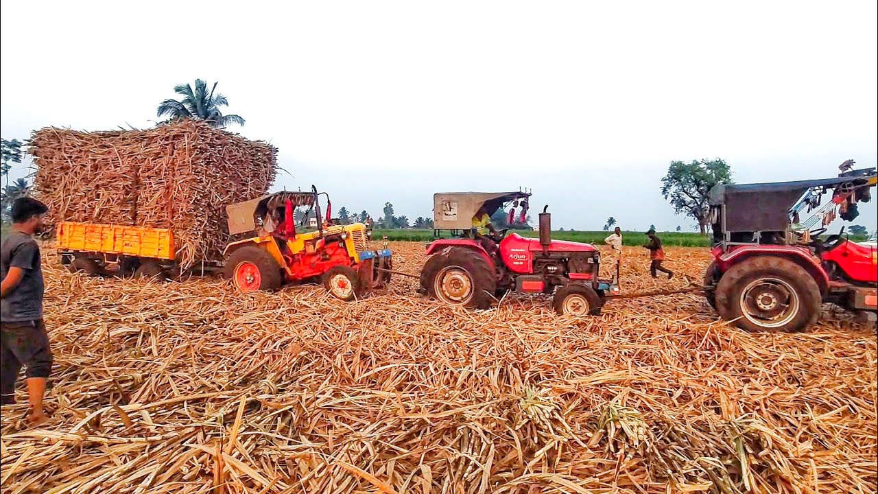 ट्रॉली अडकली, 3ट्रॅक्टर, #mihindra #hindustan #farming #viral #automobile #zpresult