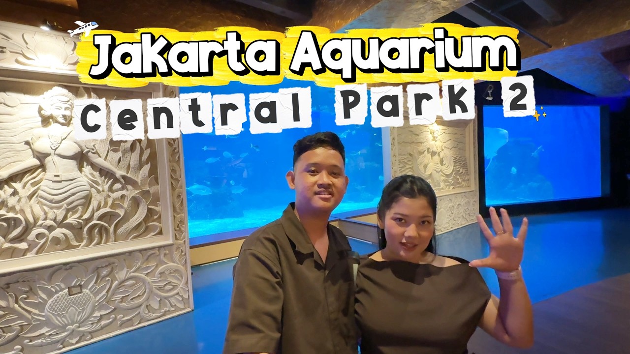 EXPLORE JAKARTA AQUARIUM, ADA IKAN PIRANHA ?!