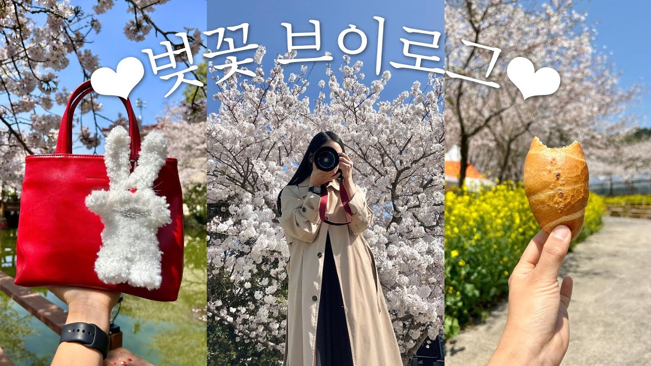 어느 벚꽃 미치광이의 브이로그 | 제주도 자취 일상 | 파스타칩 | 메로구이 | 소금빵 | 커피맛집 | 광기의 쑥쿠키 만들기 | 새로운 벚꽃 스팟 | JEJU vlog