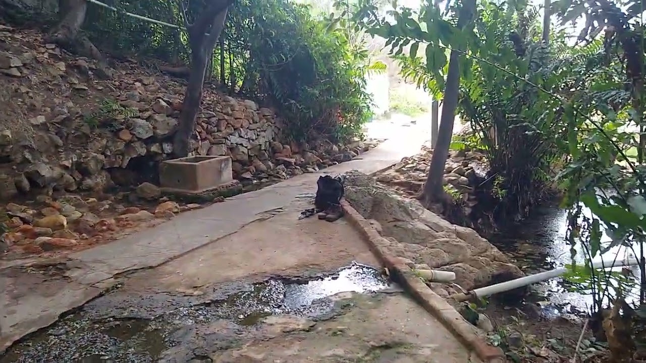 Manhã Agradável no Horto Florestal Olho D'água da Bica em Cuité 