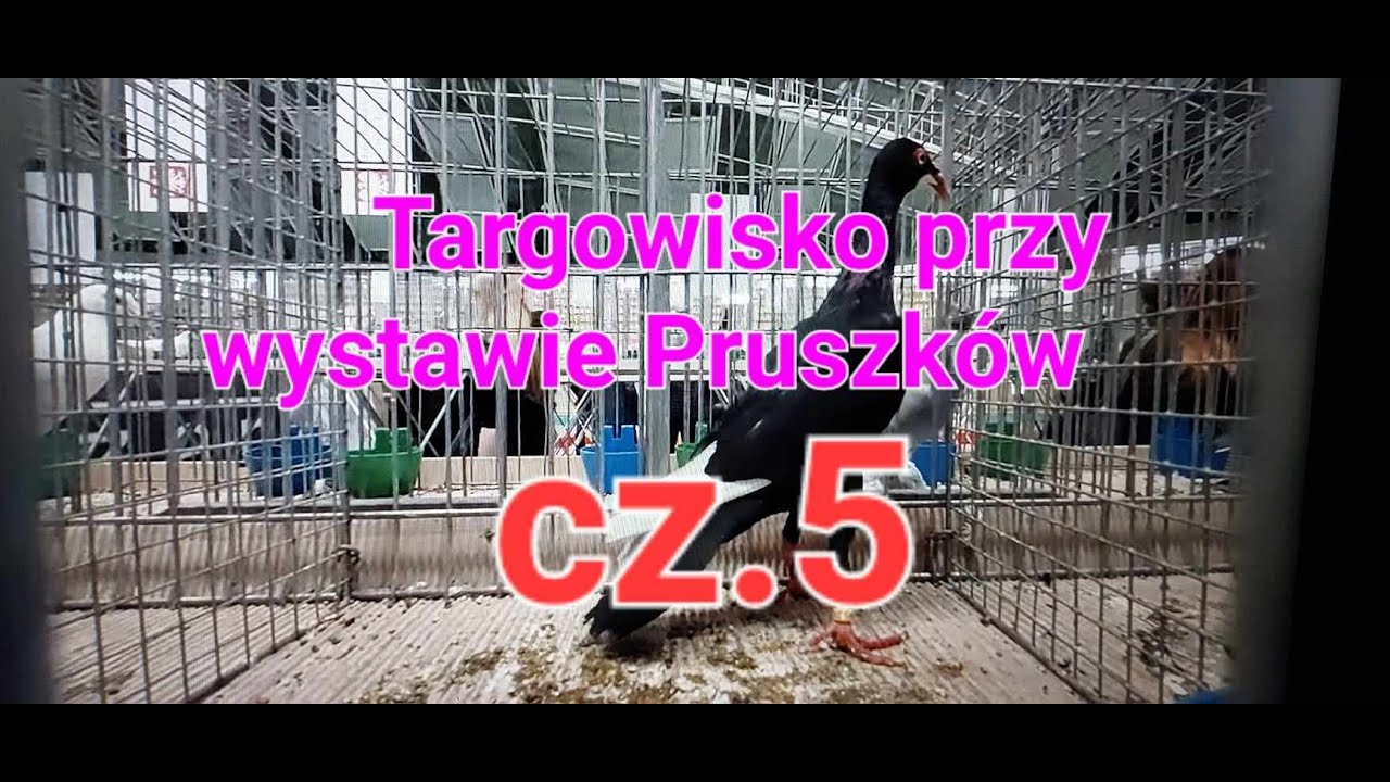 Targowisko przy wystawie Pruszków cz.5