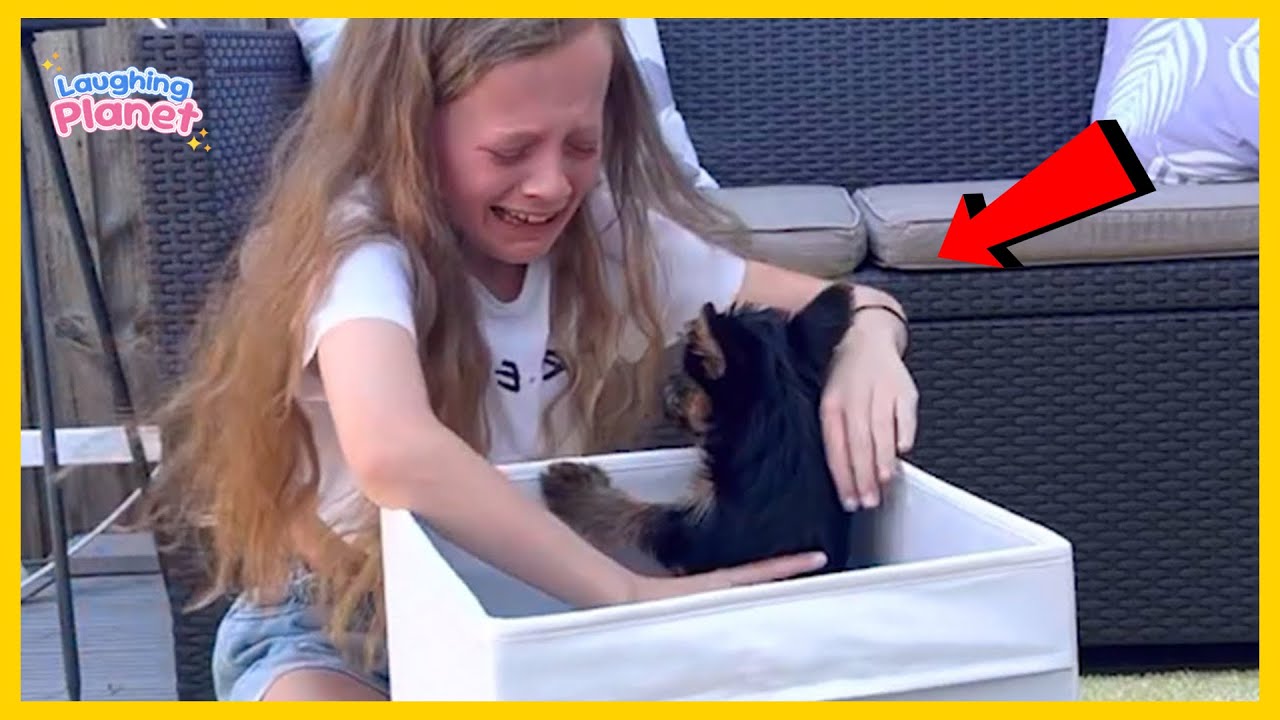 🐾 Момент, когда папа понял, что щенок его 💕 Новая подборка сюрпризов для щенков