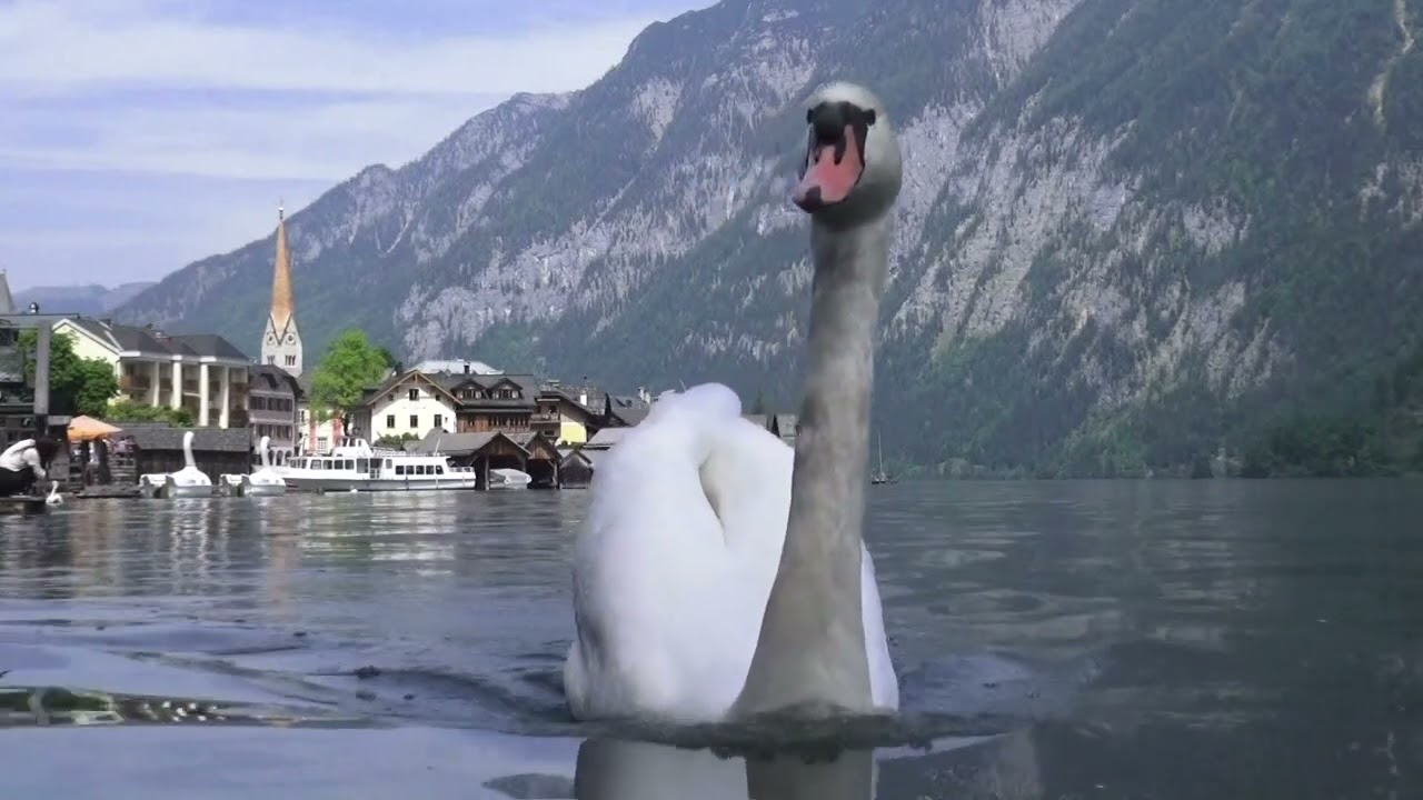 觀 自在 菩薩 -心法 境界 果位