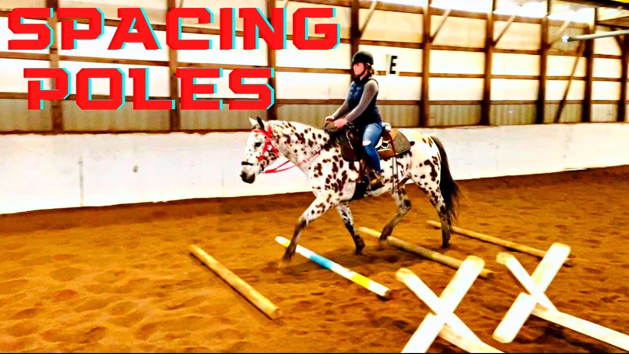 HOW TO SET UP & RIDE OVER GROUND POLES|Tutorial|