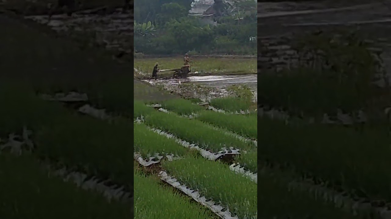 notaris malang Batu