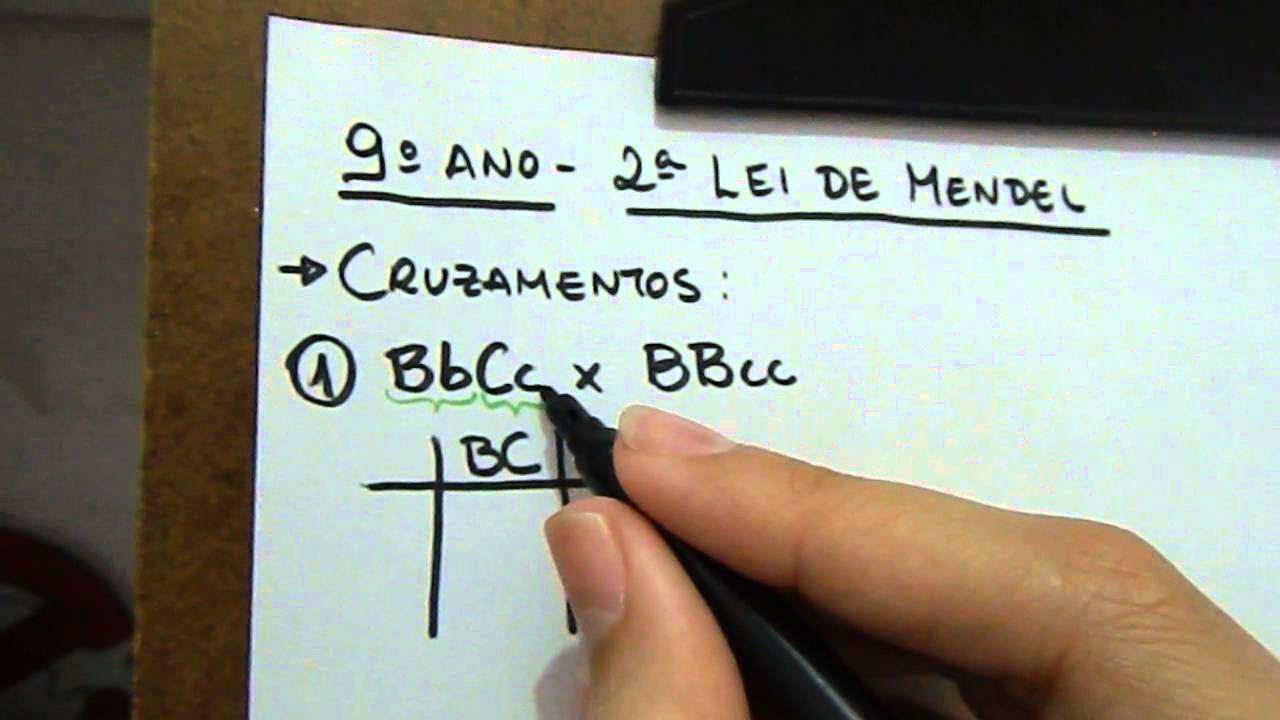 2ª Lei de Mendel - Resolvendo os cruzamentos
