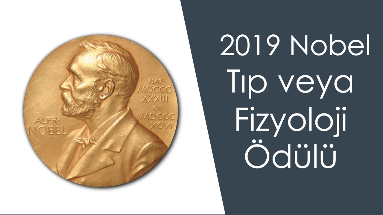 2019 Nobel Tıp Ödülü