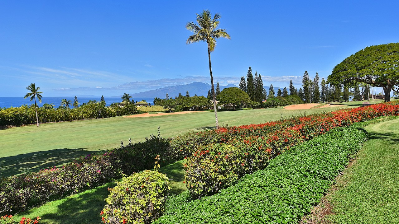 The Masters 3105 - Maui, Hawaii